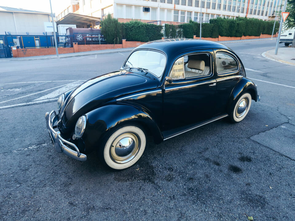 Image 65/130 of Volkswagen Beetle 1200 Export &quot;Oval&quot; (1954)
