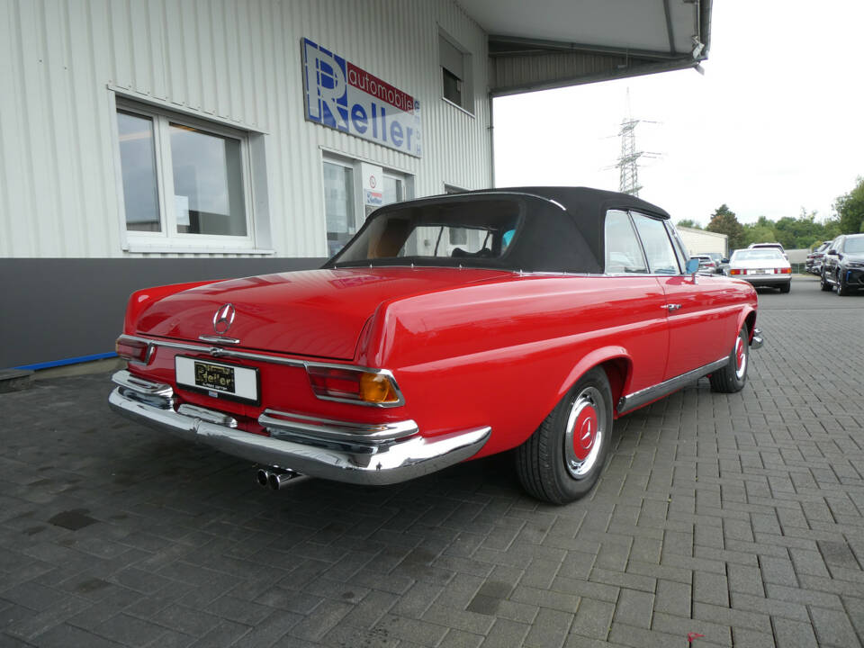 Afbeelding 4/28 van Mercedes-Benz 250 SE (1965)