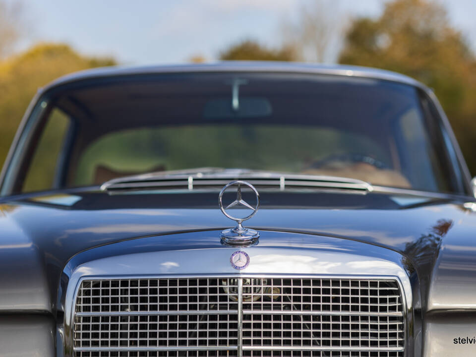 Immagine 24/61 di Mercedes-Benz 280 SE 3,5 (1971)