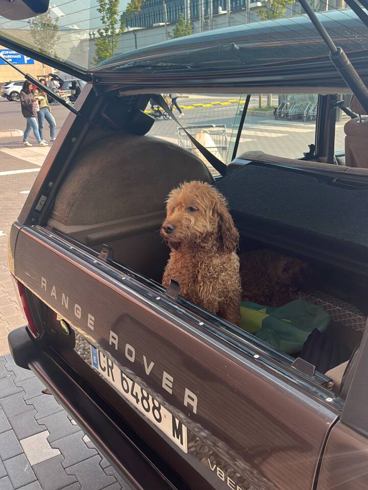 Afbeelding 2/5 van Land Rover Range Rover Classic 3.9 (1990)