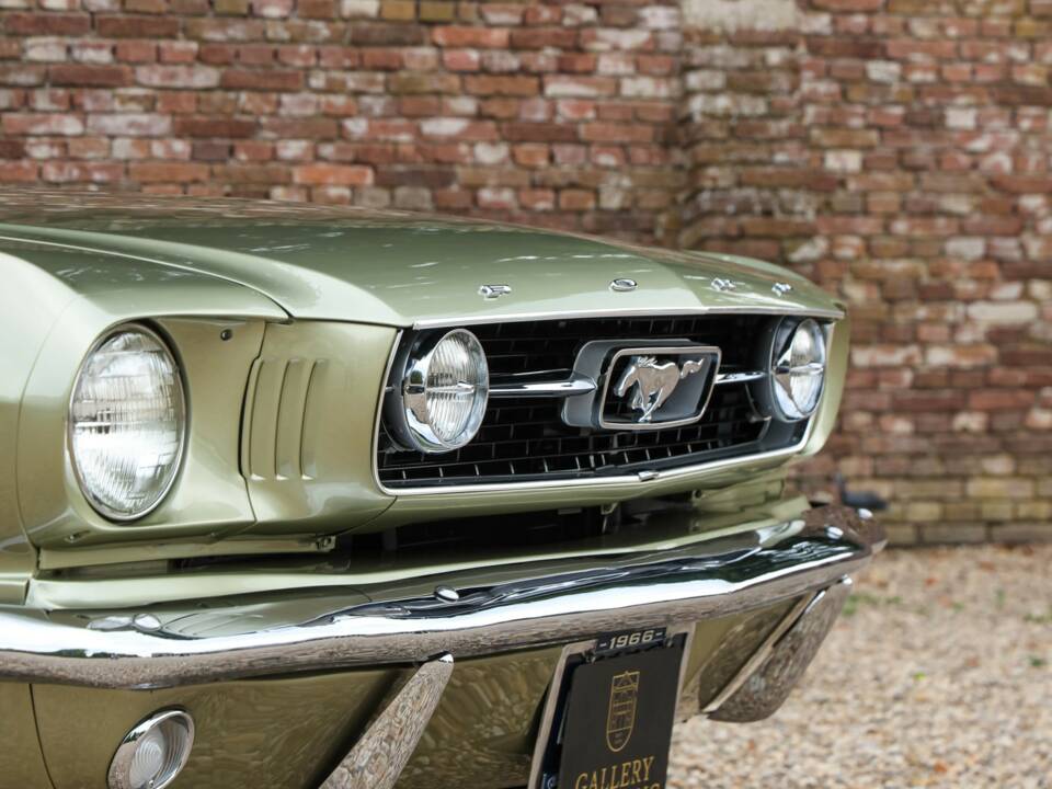 Obraz 39/50 pojazdu Ford Mustang GT (1966)
