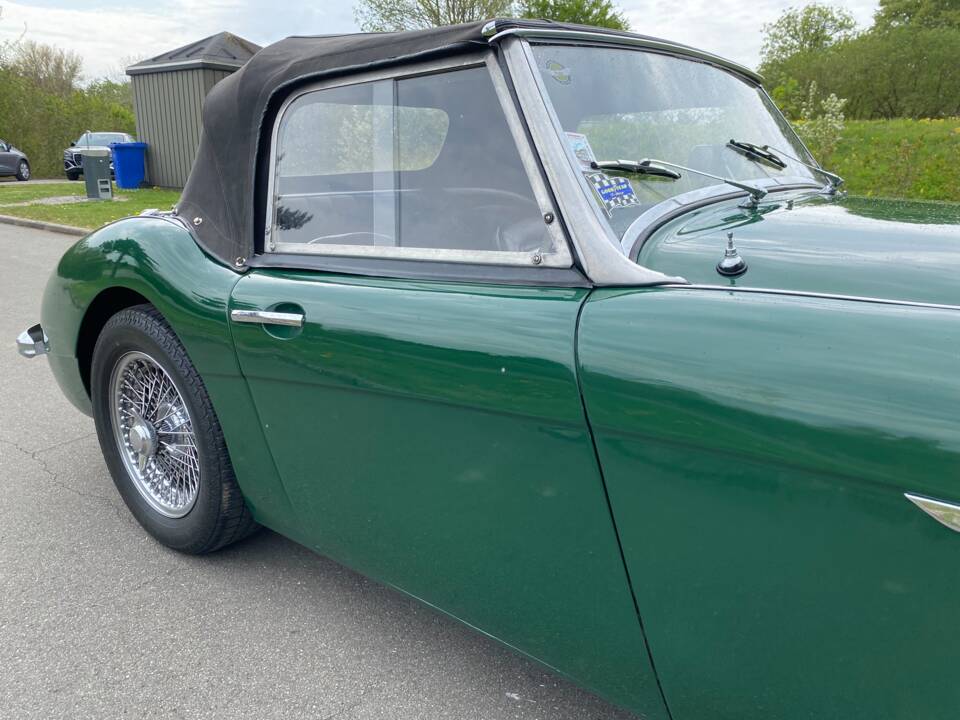 Bild 19/24 von Austin-Healey 100/6 (BN4) (1959)