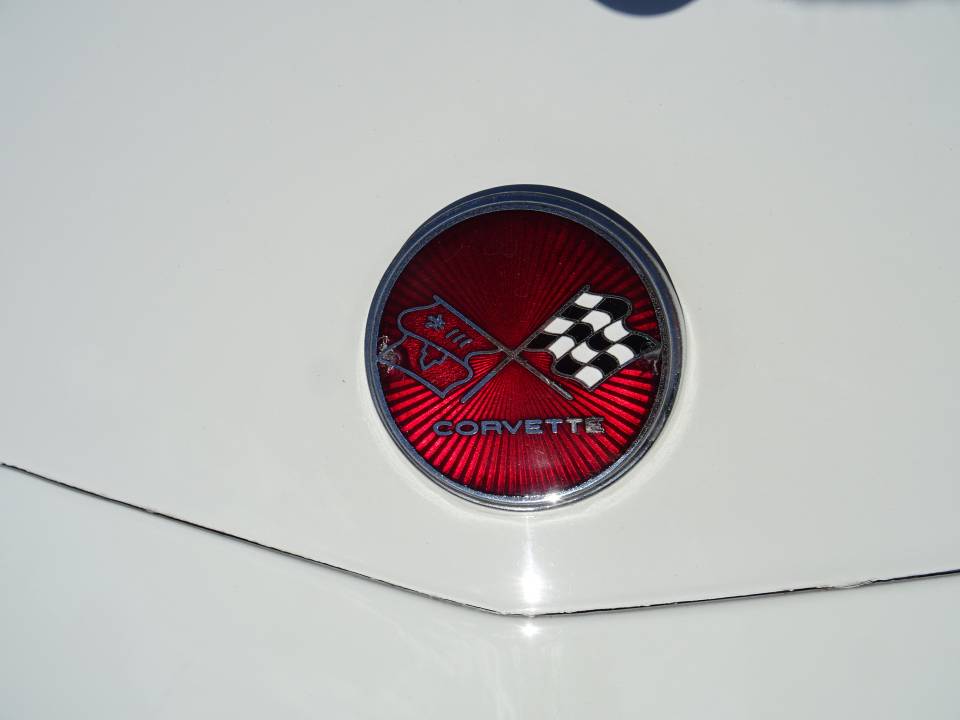 Bild 9/50 von Chevrolet Corvette Stingray (1976)