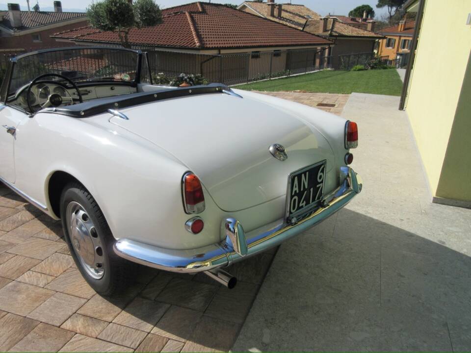 Bild 7/30 von Alfa Romeo Giulietta Spider (1961)