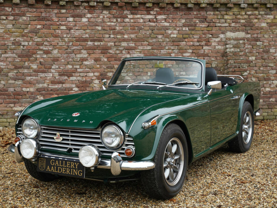 Immagine 42/50 di Triumph TR 4A IRS (1966)