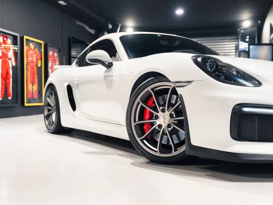 Afbeelding 3/36 van Porsche Cayman GT4 (2016)