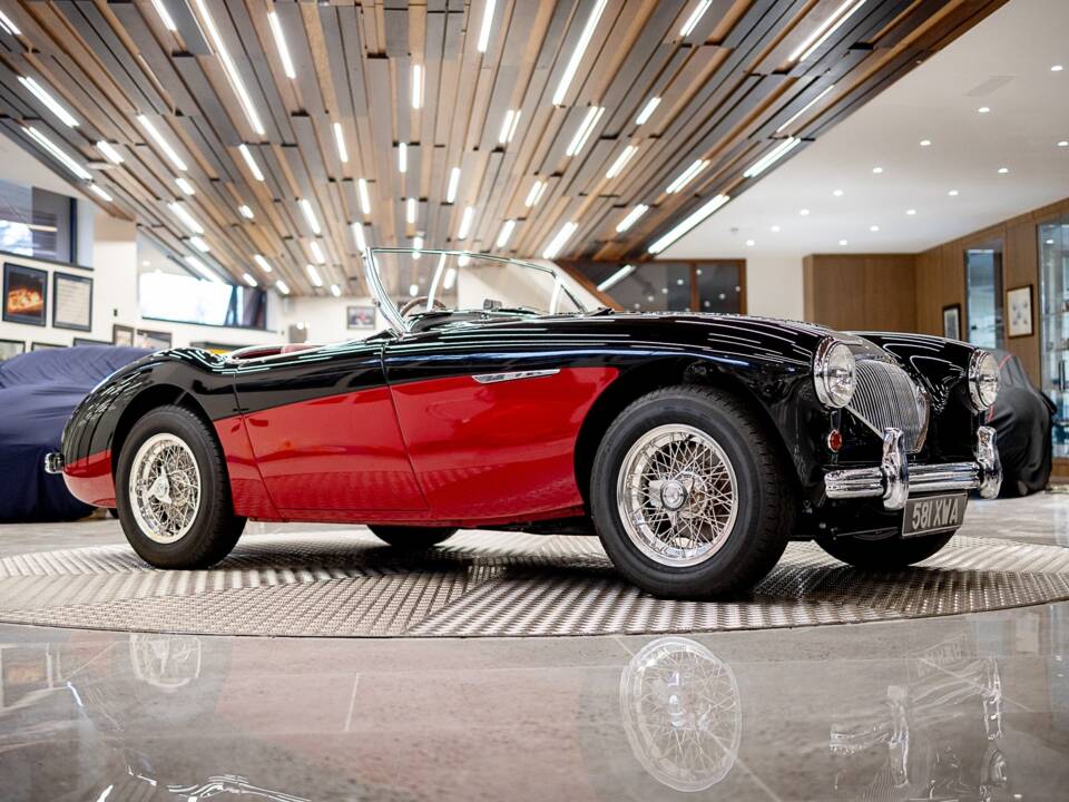 Bild 1/50 von Austin-Healey 100/4 (BN2) (1956)