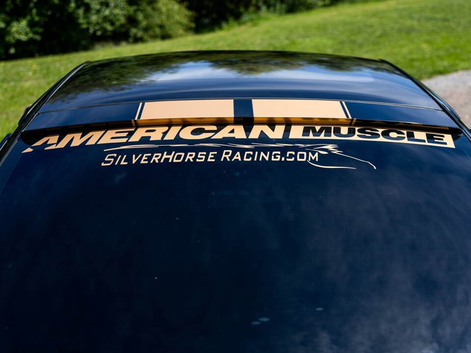 Image 34/50 of Ford Mustang V6 (2009)