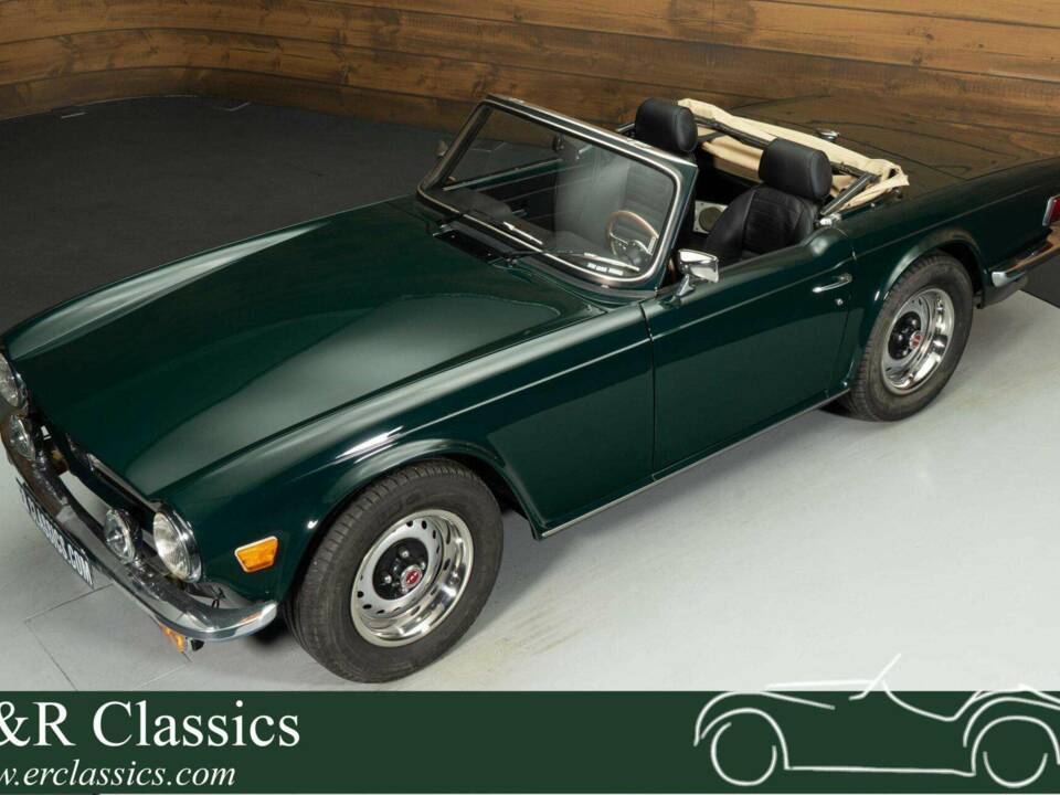 Immagine 1/19 di Triumph TR 6 (1976)