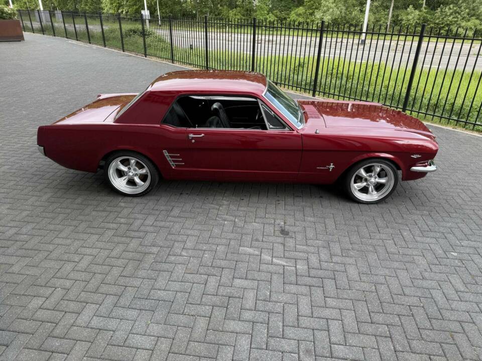 Bild 4/47 von Ford Shelby GT 350 (1966)