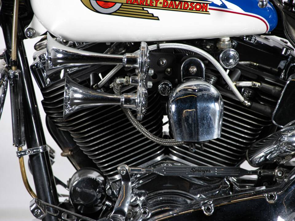 Immagine 16/50 di Harley-Davidson FXSTS Softail Springer (2000)