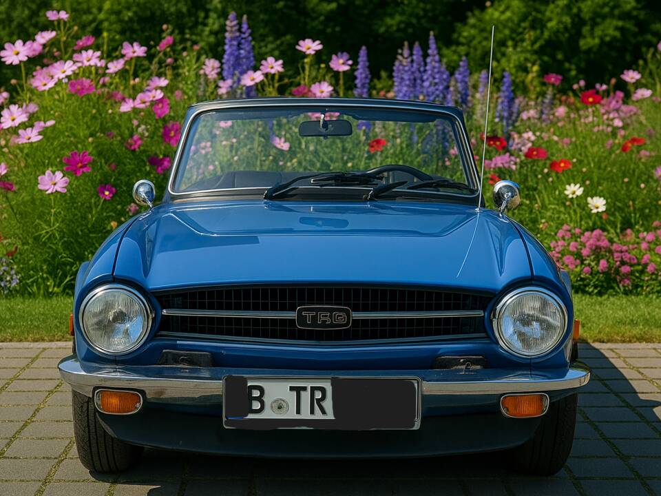 Image 4/51 of Triumph TR 6 (1975)