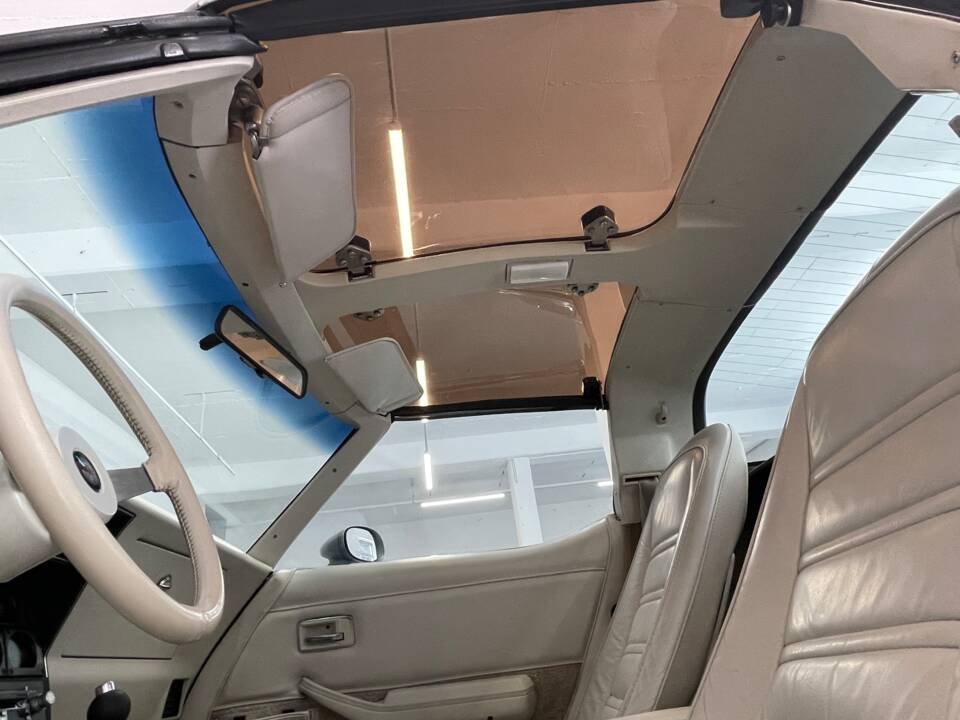 Bild 20/40 von Chevrolet Corvette 25th Anniversary (1978)