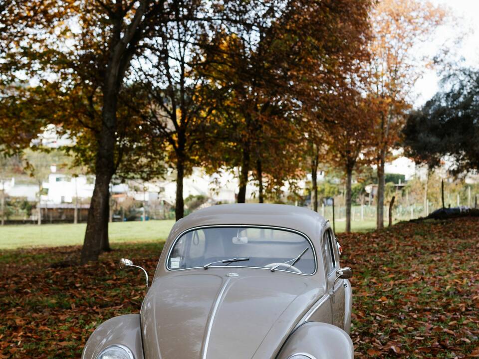 Immagine 4/56 di Volkswagen Maggiolino 1100 Standard "Ovali" (1954)