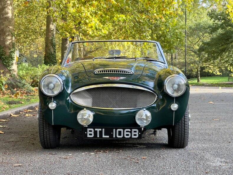 Bild 8/50 von Austin-Healey 3000 Mk II (BJ7) (1964)