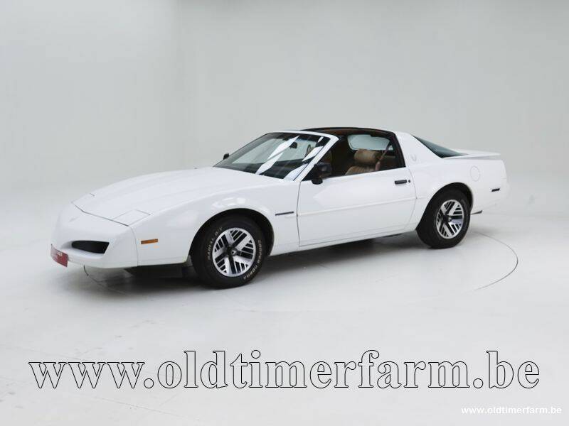 Bild 1/15 von Pontiac Firebird TransAm (1990)