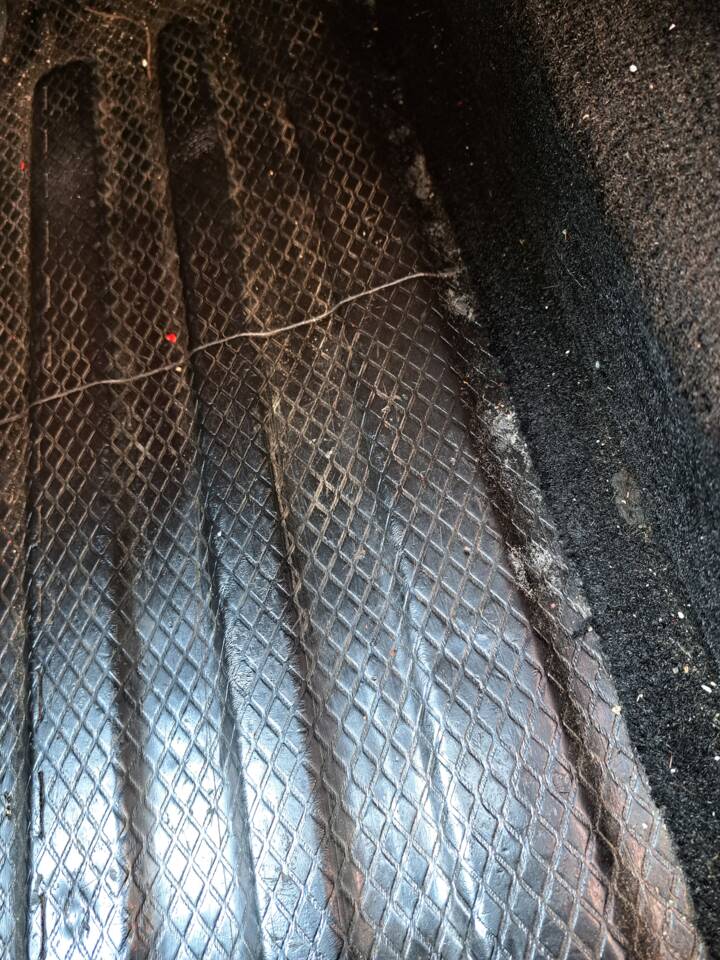 Floor and carpets interior