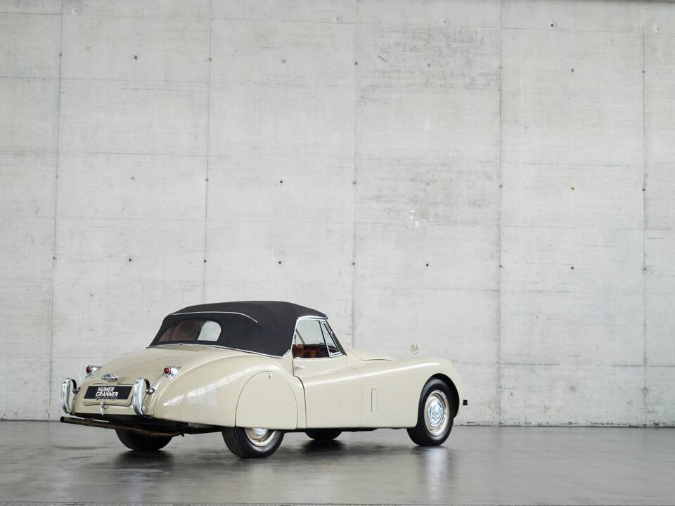 Image 24/50 de Jaguar XK 120 DHC (1953)