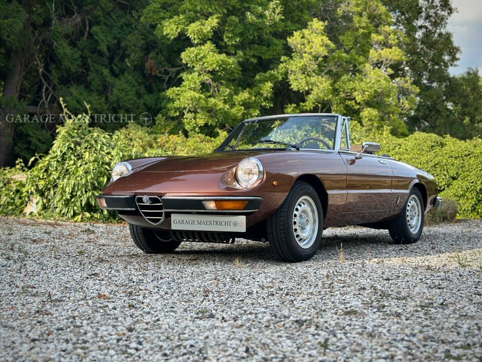 Image 27/100 of Alfa Romeo 2000 Spider Veloce (1980)
