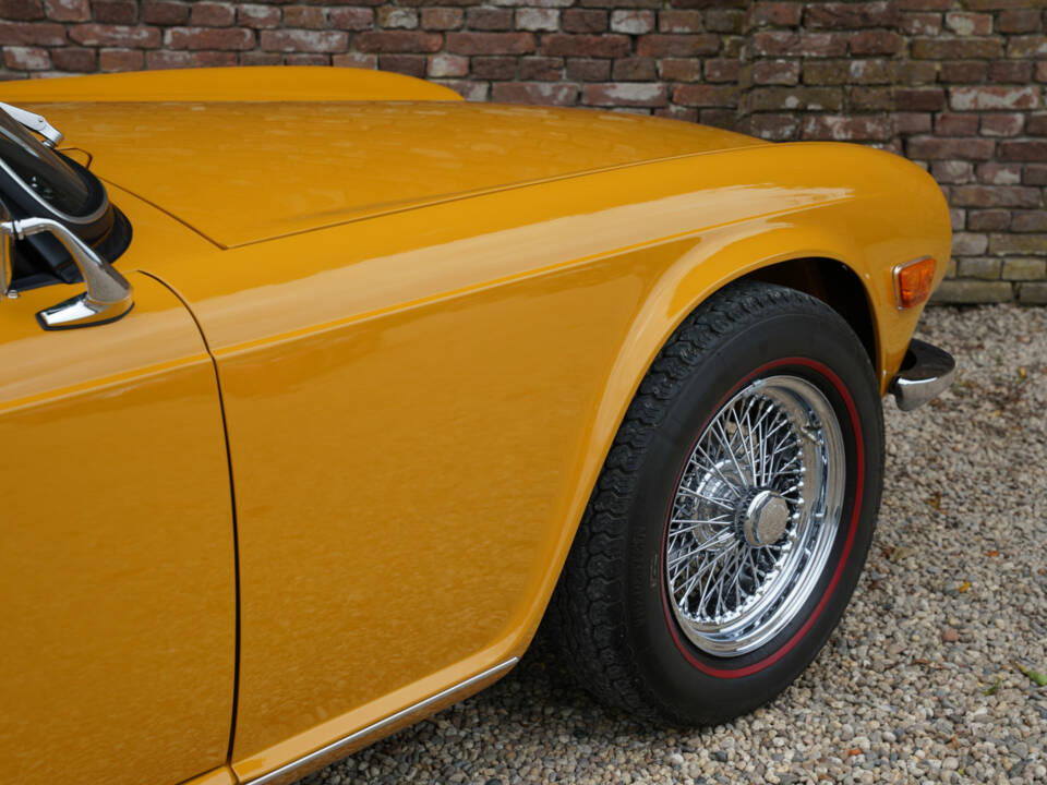 Immagine 45/50 di Triumph TR 6 (1971)