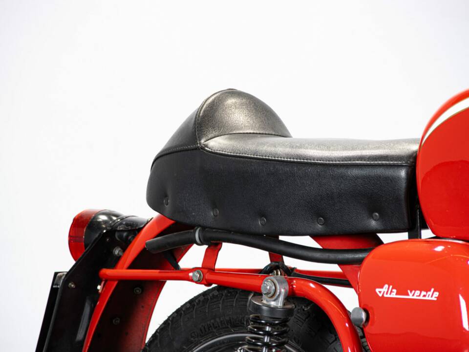 Immagine 13/50 di Aermacchi Ala Verde (1964)
