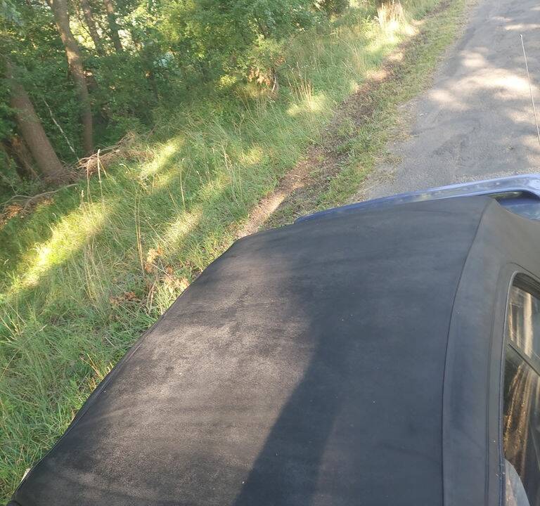 Bild 8/8 von Ford Escort 1.6 Cabrio (1988)