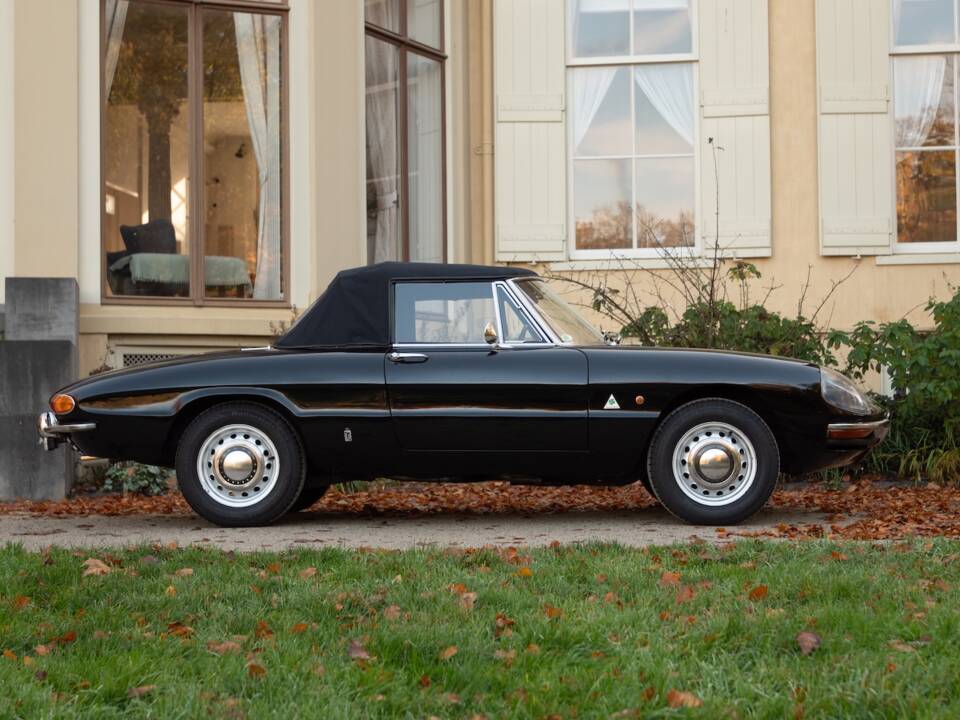 Image 5/51 of Alfa Romeo 1600 Spider Duetto (1966)