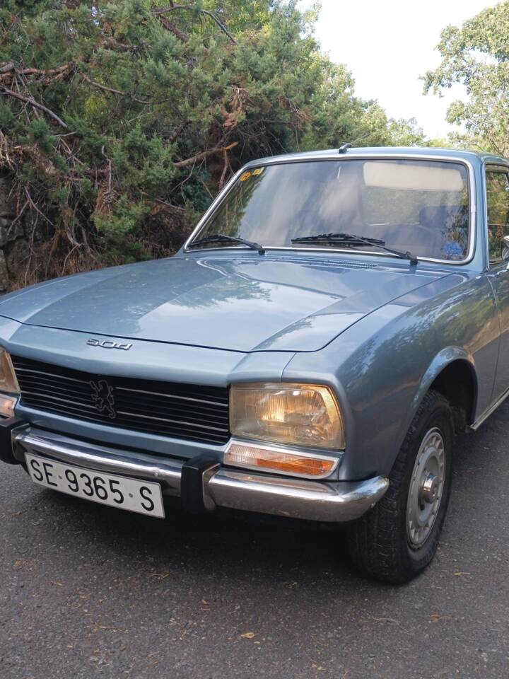 Bild 1/52 von Peugeot 504 (1979)
