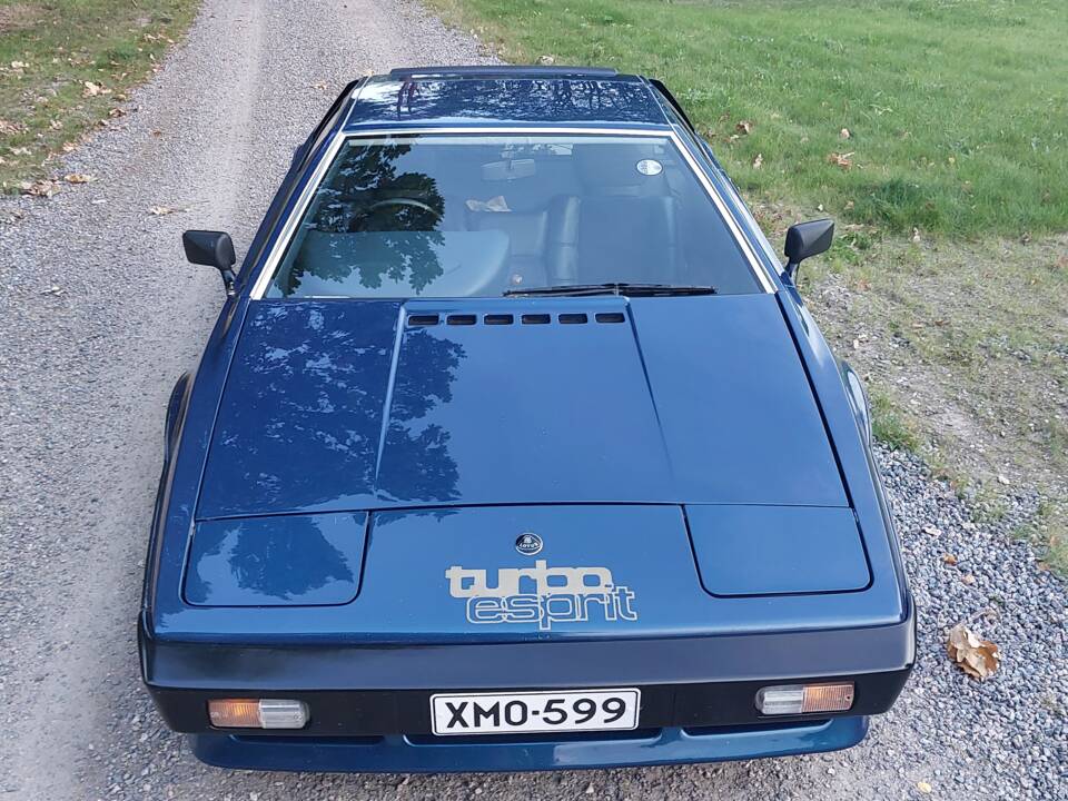 Image 5/16 de Lotus Esprit Turbo (1982)