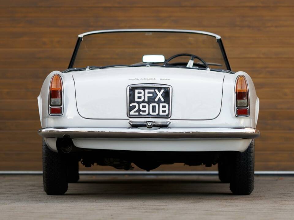 Image 6/50 of Alfa Romeo 2600 Spider (1964)