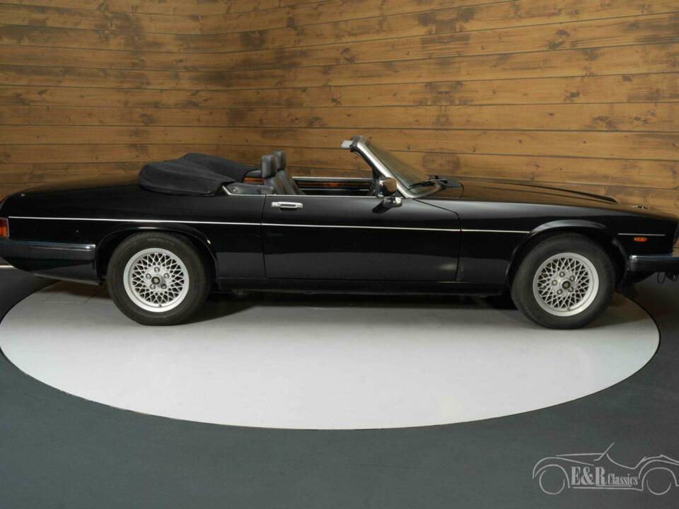 Image 8/19 de Jaguar XJS 5.3 V12 (1990)