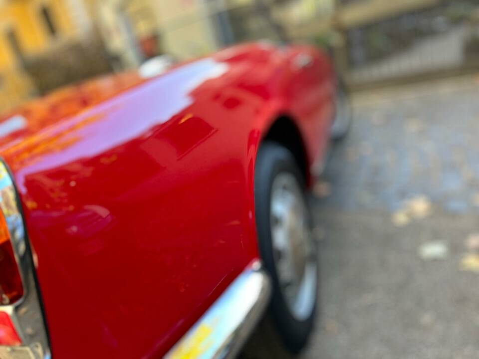Afbeelding 8/18 van Alfa Romeo Giulietta Spider (1961)