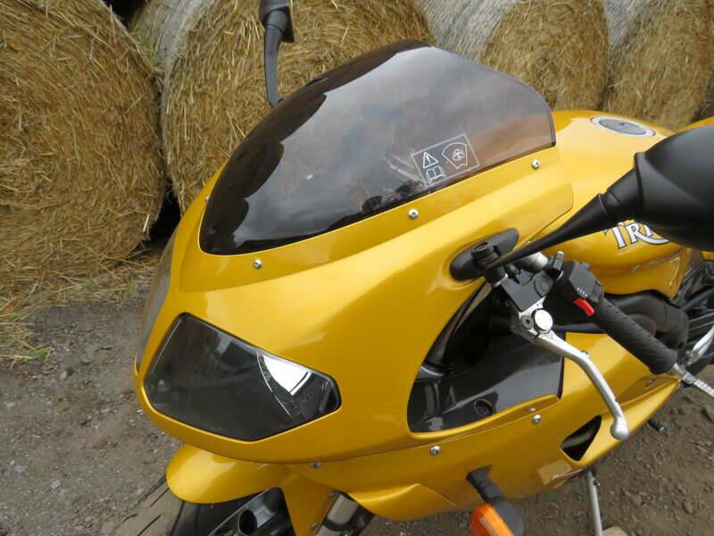 Image 6/39 of Triumph DUMMY (2006)