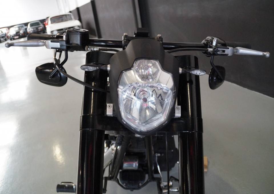 Image 19/33 of Harley-Davidson DUMMY (2008)