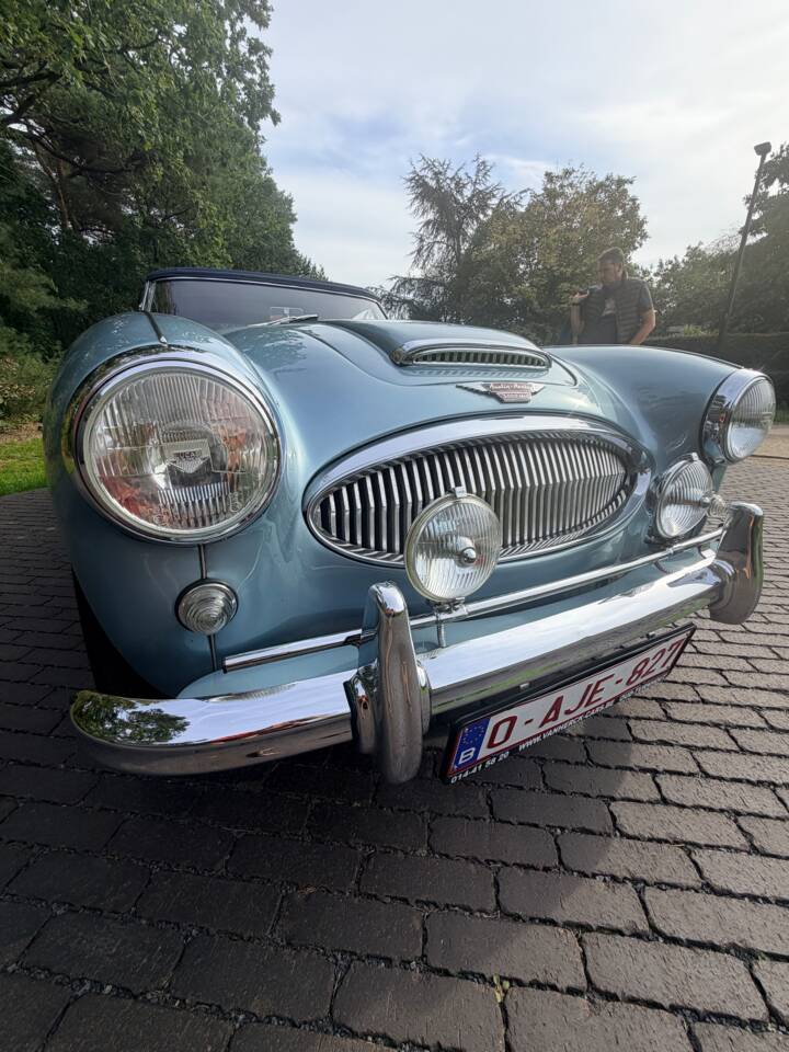 Afbeelding 4/21 van Austin-Healey 3000 Mk II (BJ7) (1963)