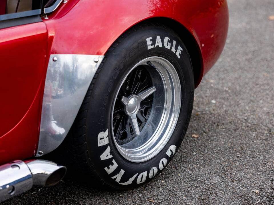 Afbeelding 38/50 van AC Cobra 289 (2000)