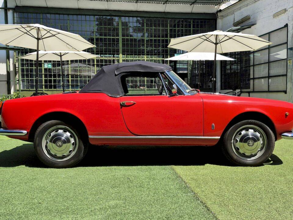 Image 59/71 of Alfa Romeo Giulietta Spider (1961)