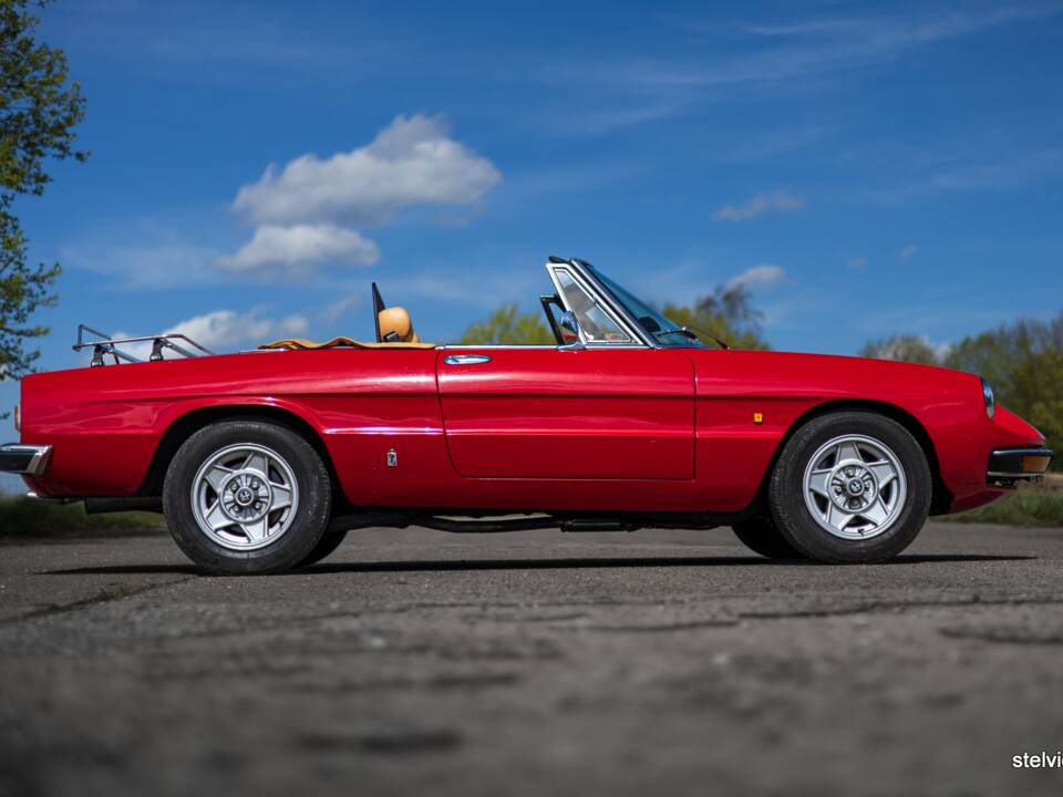Afbeelding 19/42 van Alfa Romeo 2000 Spider Veloce (1980)