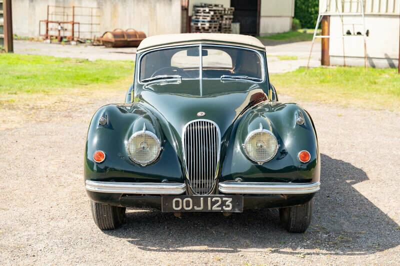 Image 36/50 of Jaguar XK 120 DHC (1954)