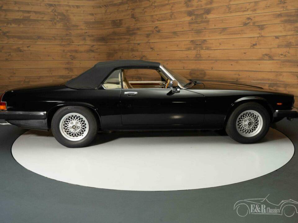 Image 15/19 de Jaguar XJ-S H.E. (1989)