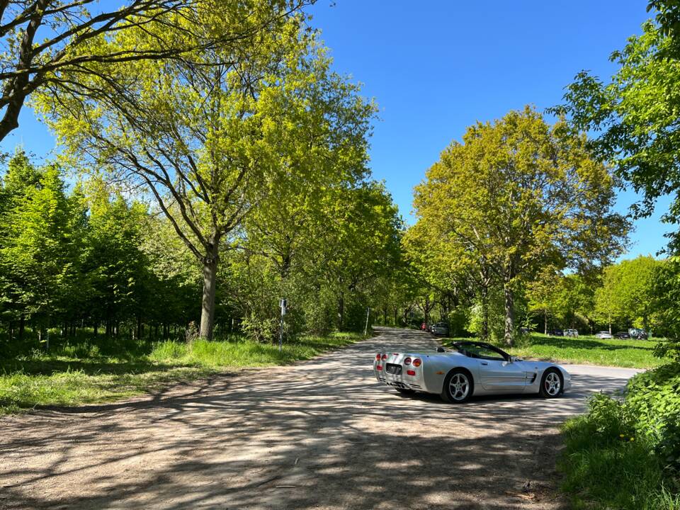 Image 21/50 of Chevrolet Corvette (2001)