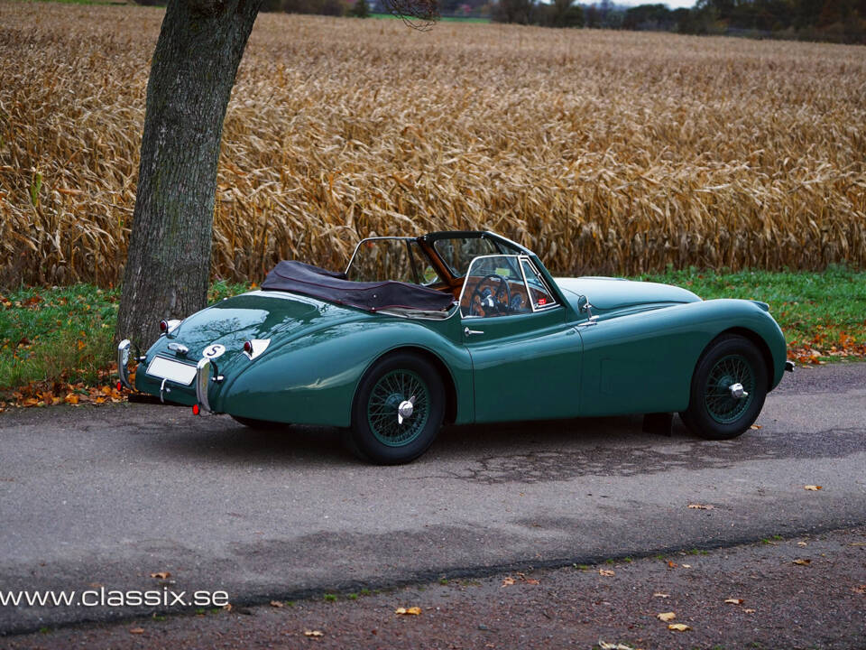 Afbeelding 9/23 van Jaguar XK 120 DHC (1954)