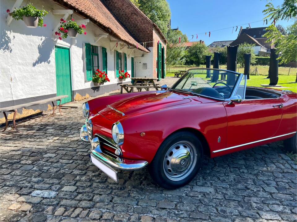 Immagine 62/85 di Alfa Romeo Giulia 1600 Spider Veloce (1964)