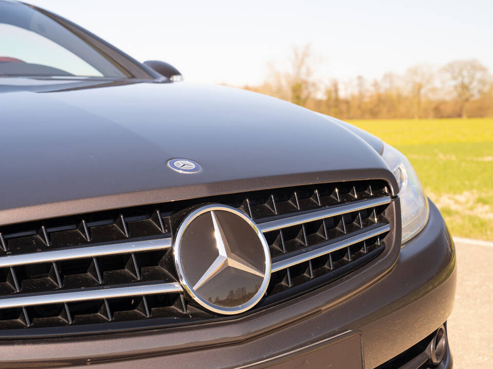 Image 19/67 of Mercedes-Benz CL 500 (2006)