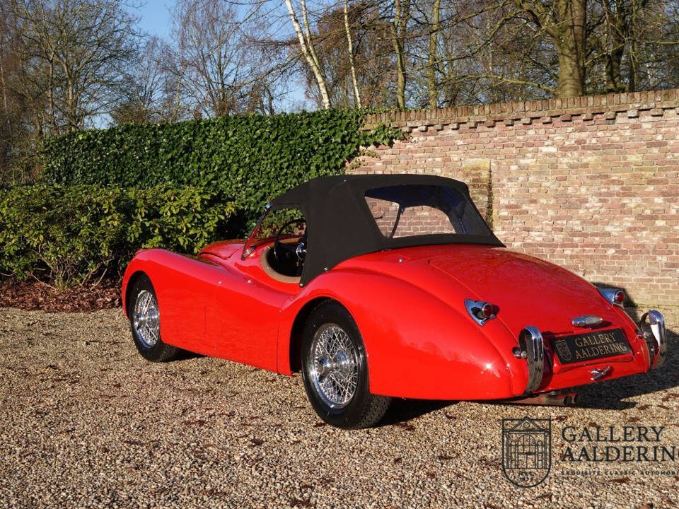 Image 32/50 of Jaguar XK 120 OTS (1954)