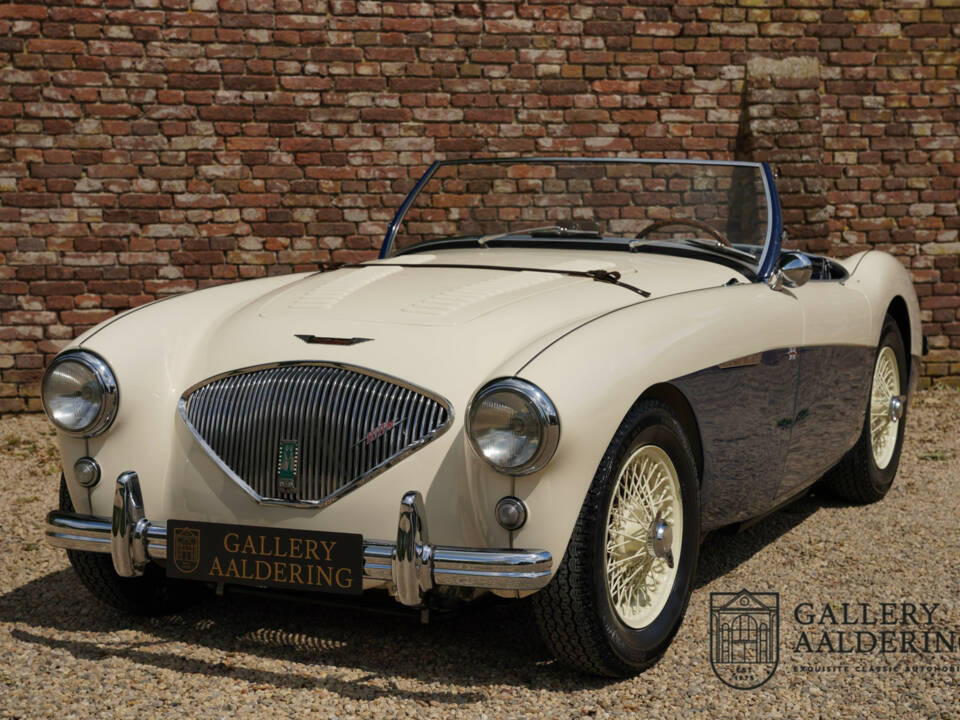 Immagine 39/50 di Austin-Healey 100&#x2F;4 (BN1) (1954)