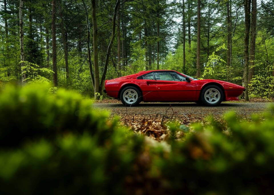 Bild 8/33 von Ferrari 308 GTB Quattrovalvole (1983)