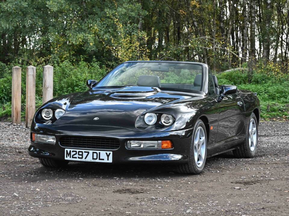 Image 22/50 of AC Ace Brooklands (1995)