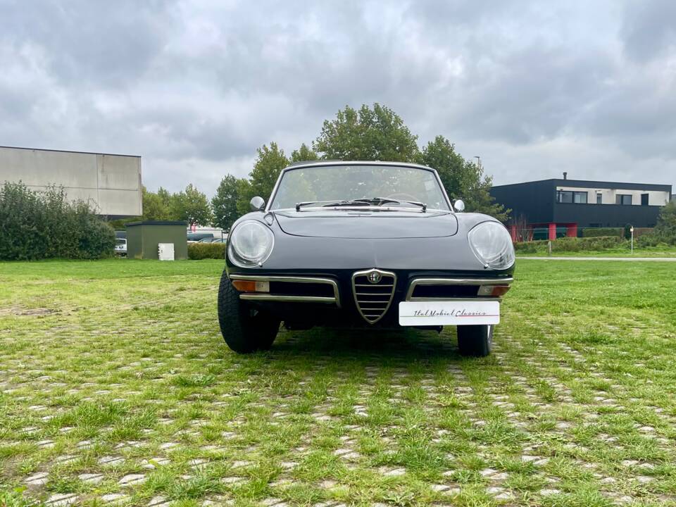 Bild 4/24 von Alfa Romeo 1600 Duetto (1966)
