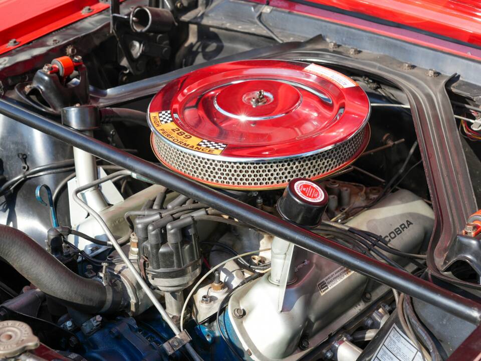 Image 33/50 of Ford Shelby GT 350 (1965)